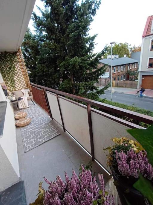Apartament Podgorna 19 Apartman Stary Toruń Kültér fotó