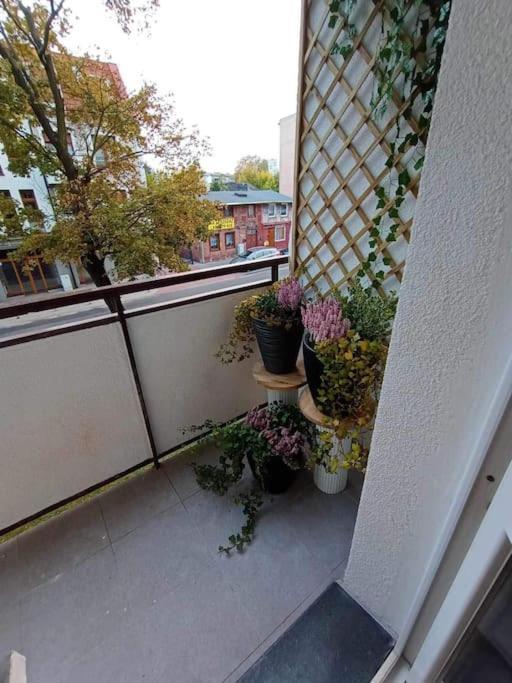 Apartament Podgorna 19 Apartman Stary Toruń Kültér fotó